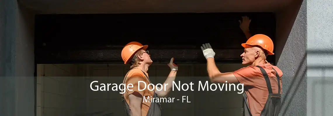 Garage Door Not Moving Miramar - FL